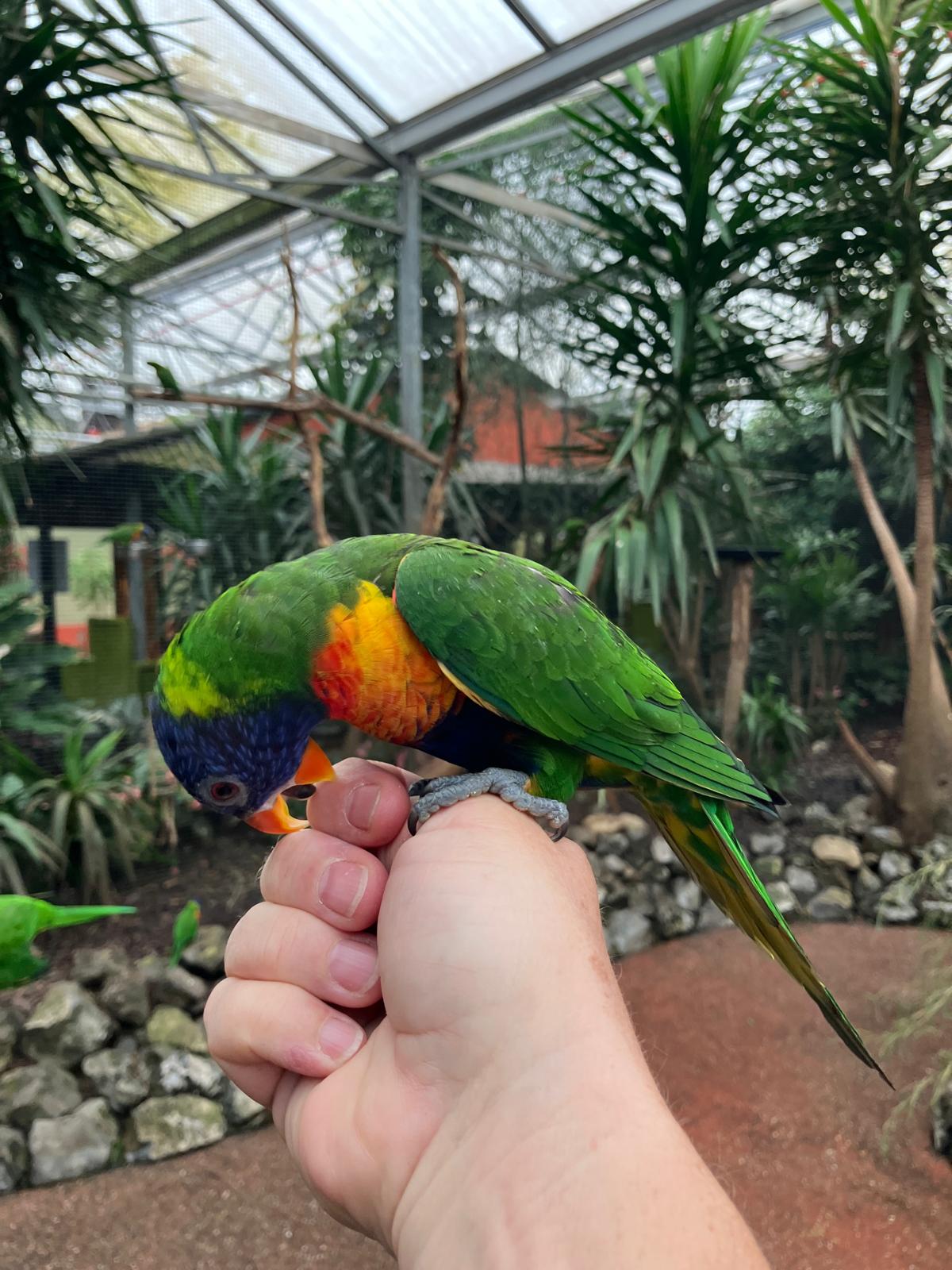 Foto 30 bij artikel "Uitje naar de Orchideenhoeve in Luttelgeest".